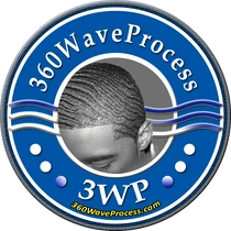 360 Waves Logo