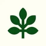 Bellurelle Logo